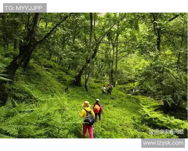 惊险暑假爬山行：女友竹马遭蛇咬，她毫不犹豫的勇敢行动
